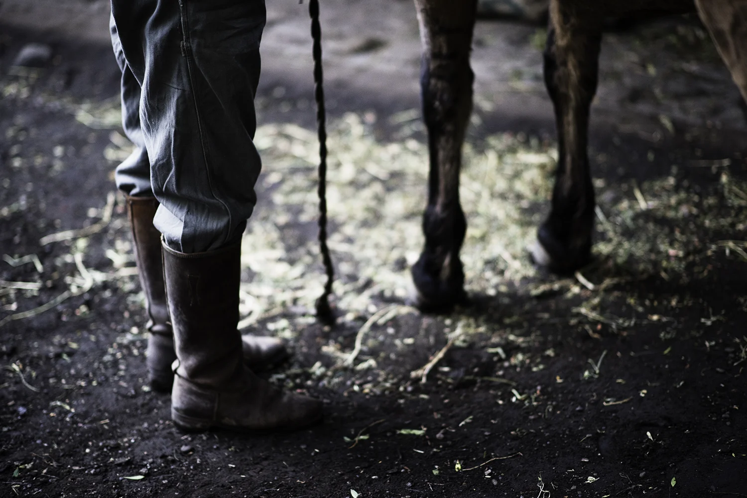 Arroyo Verde Gaucho