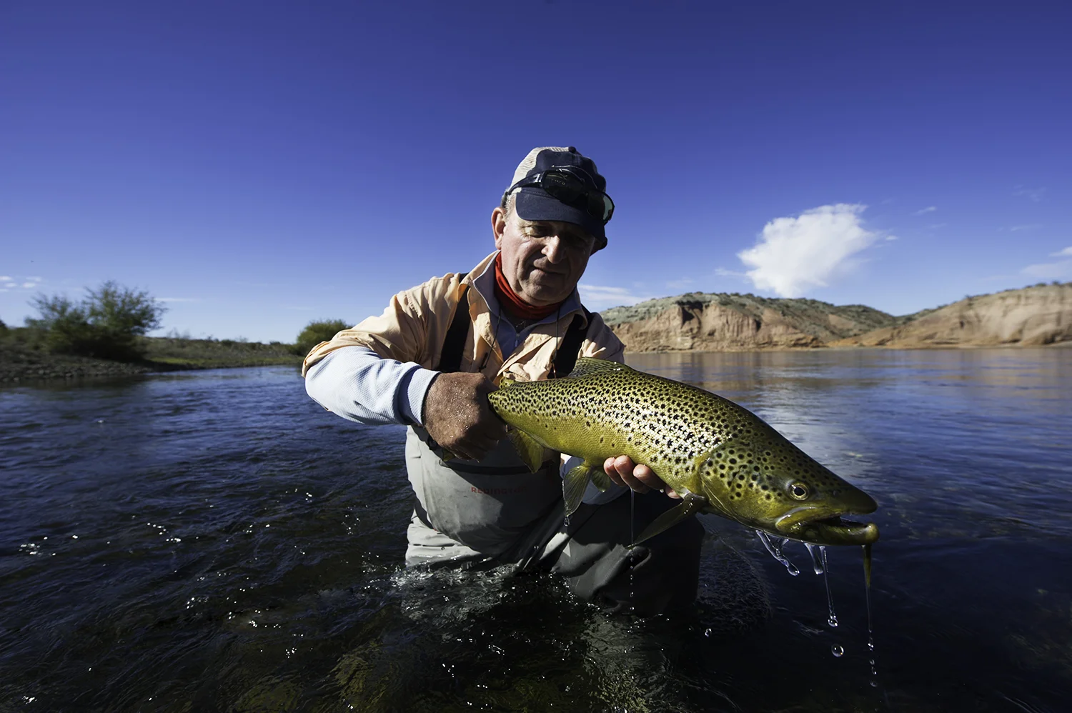 Limay River Brown