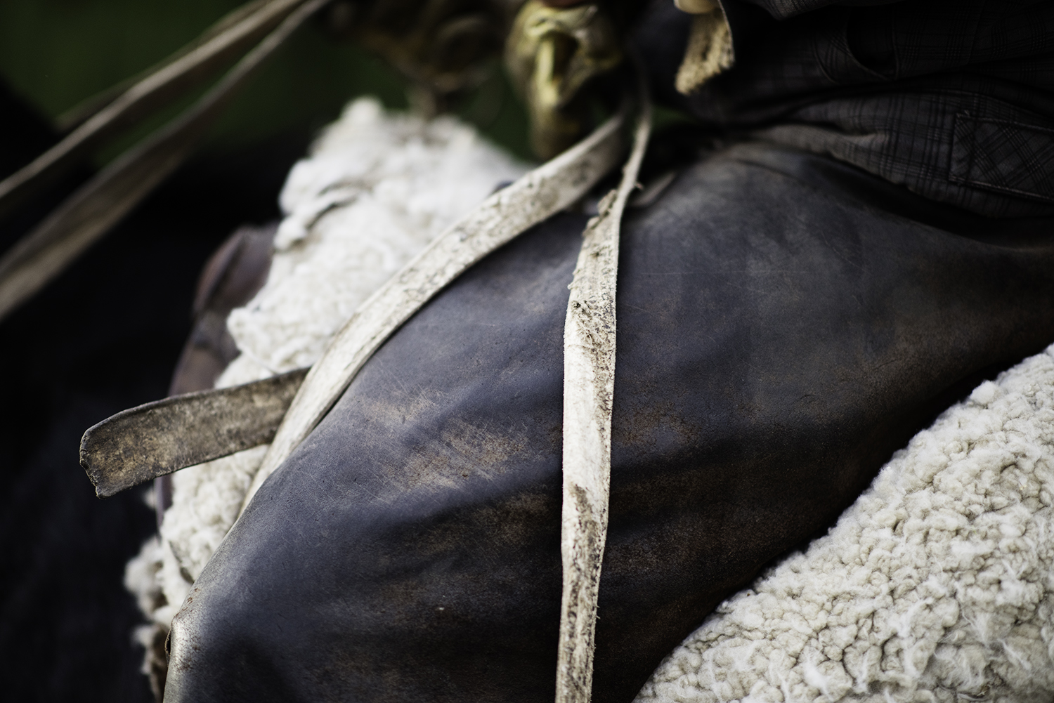 Gaucho Chaps