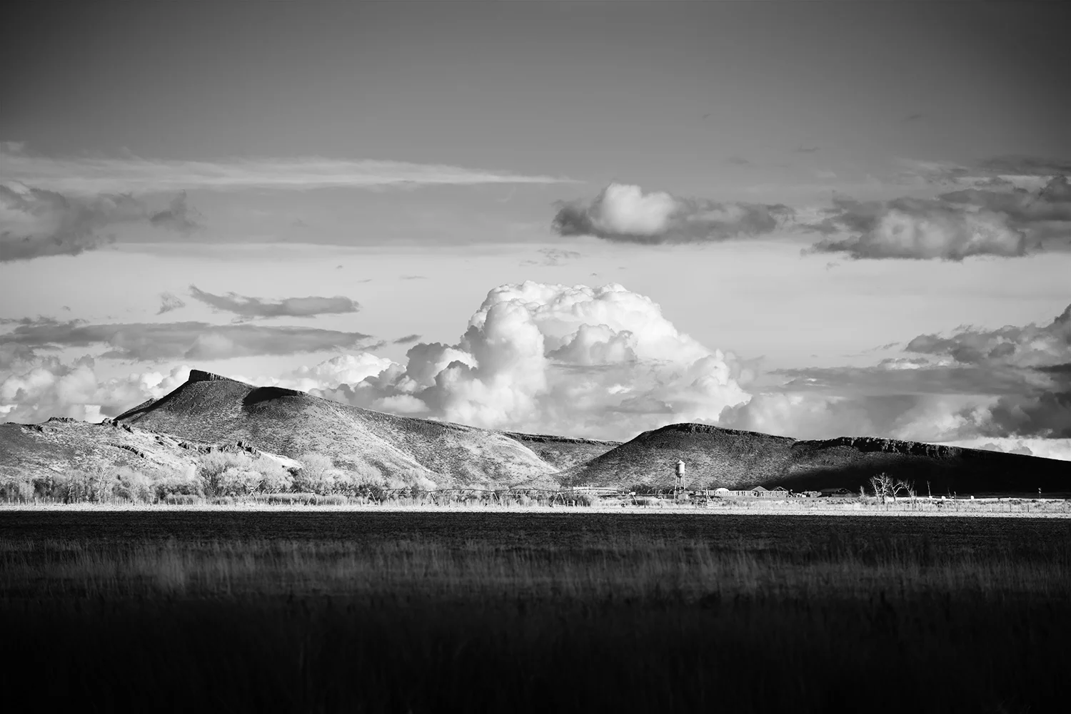 1/25 Queen's Crown. Picabo, Idaho 20" x 30" print. Matted & framed the dimensions are 29" x 38.5" $1,650