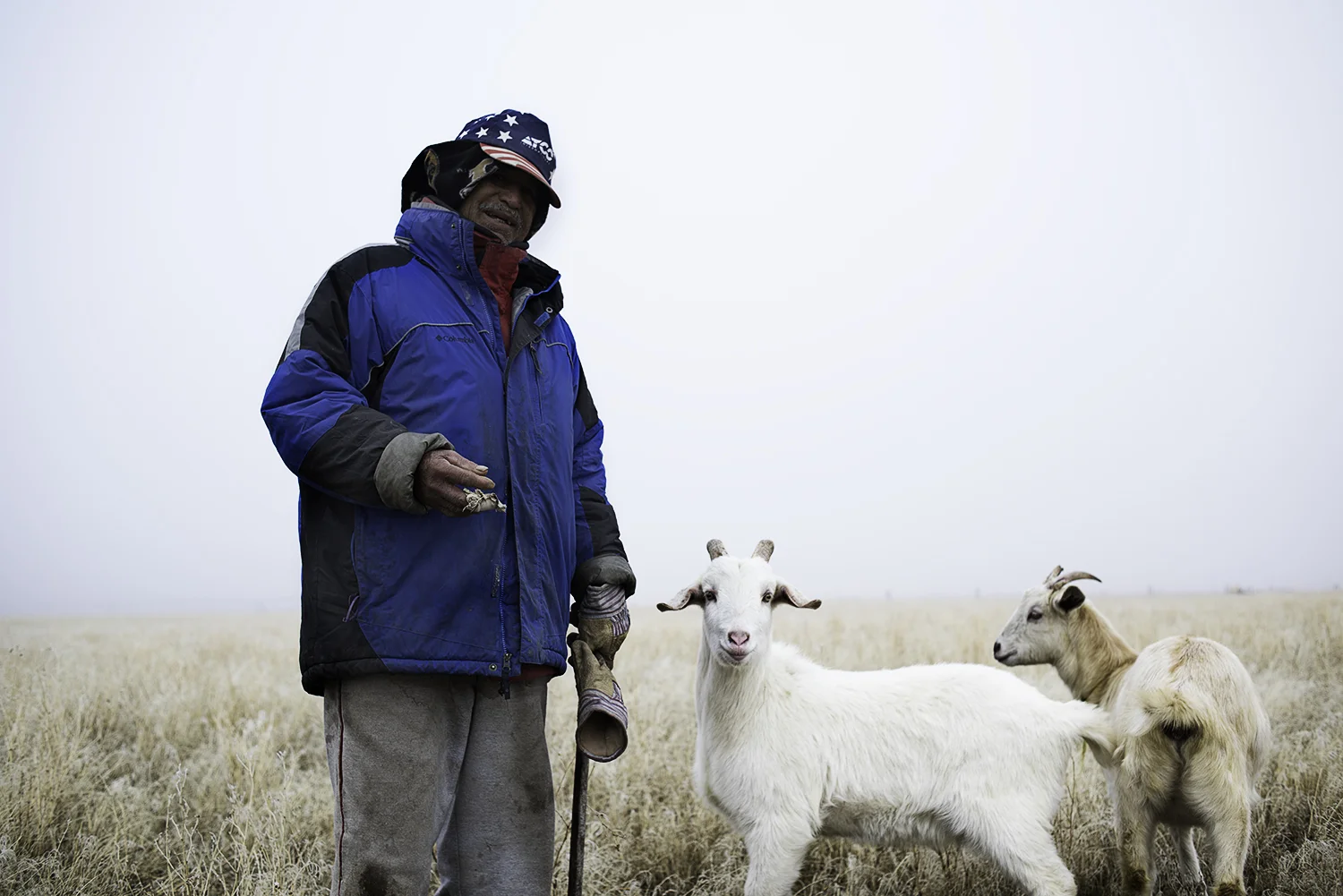 Goat Herder. Winter 2018. Idaho.