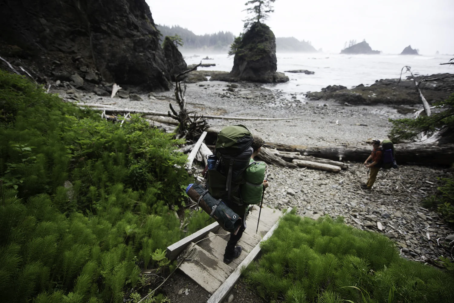 backpacker olympic coast.jpg
