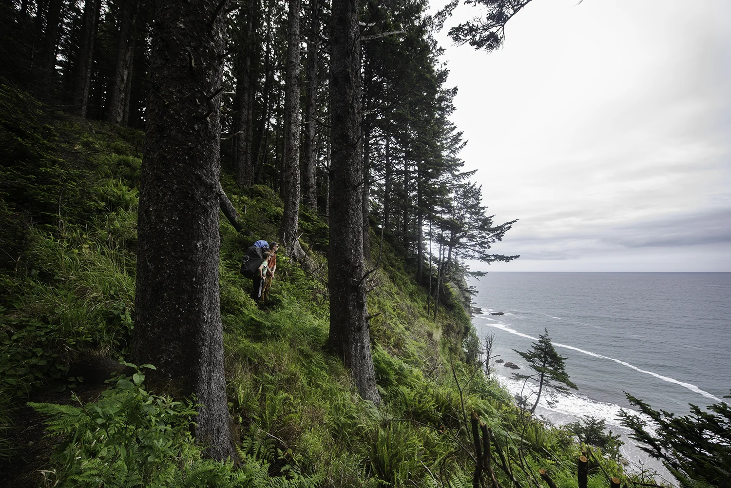 olympic coast.jpg