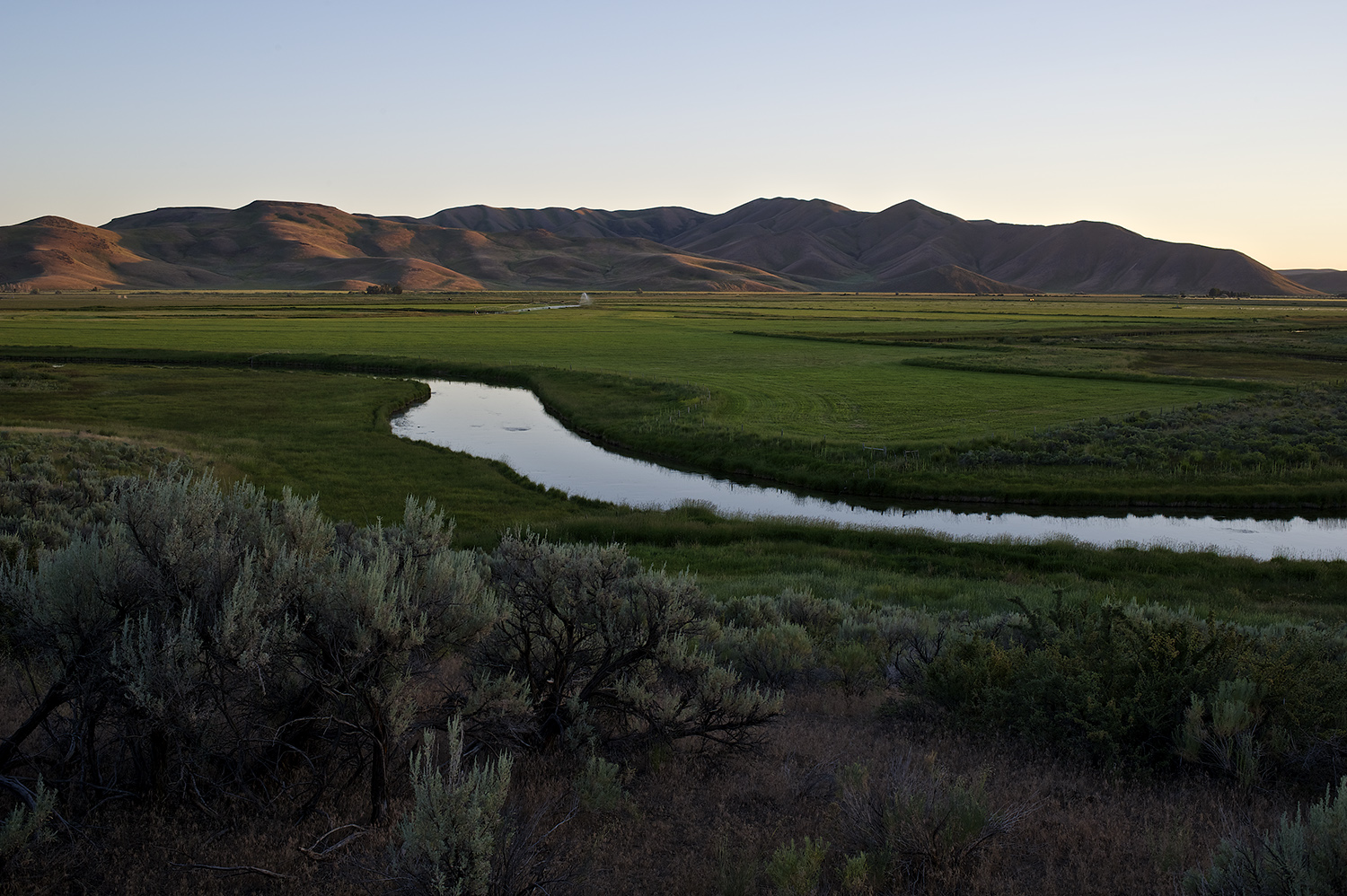 Silver Creek Evening