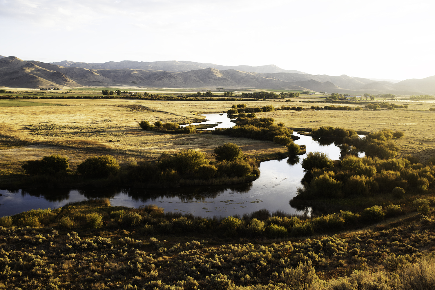 Silver Creek, Idaho. Fall Light