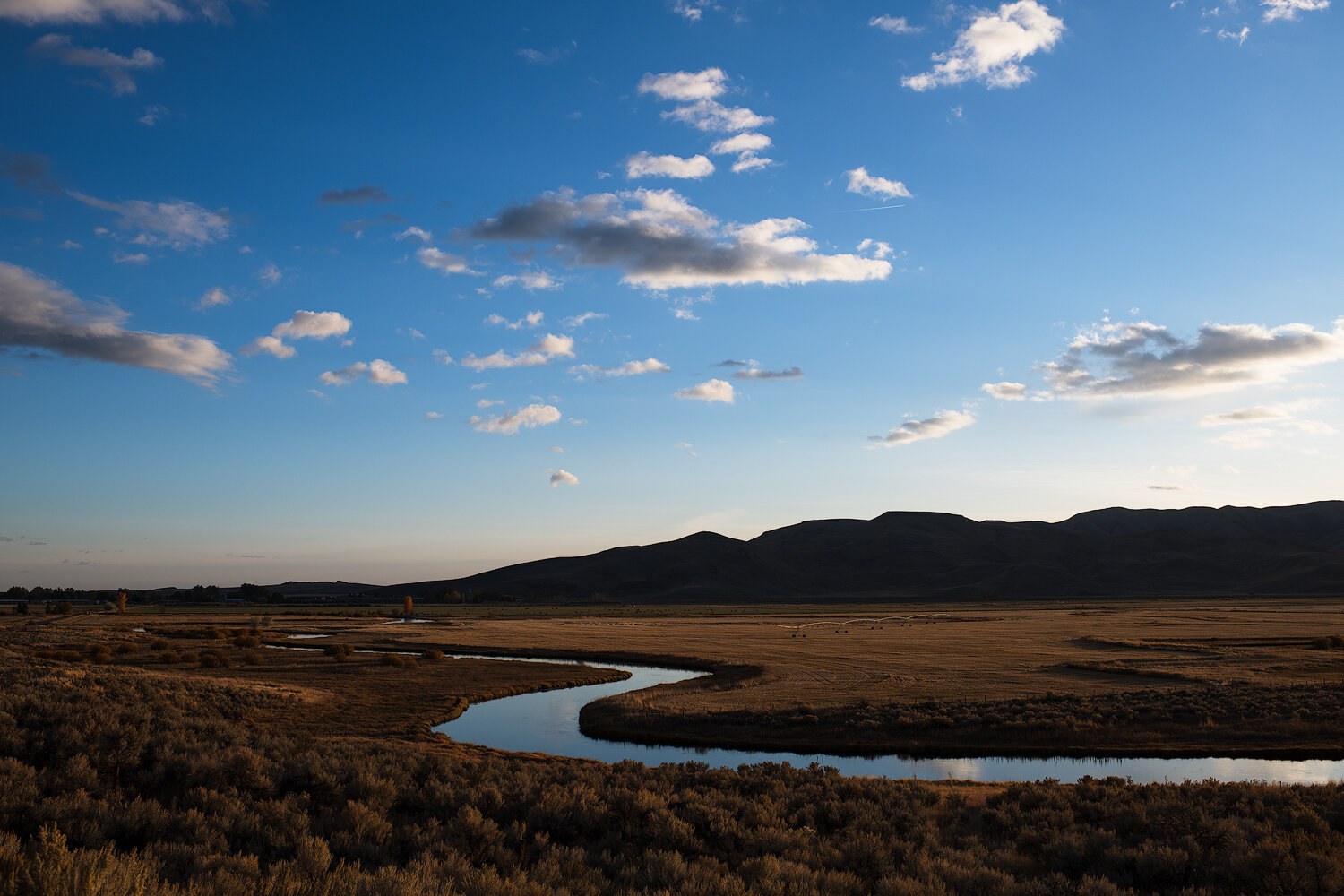 Silver Creek. Fall Light