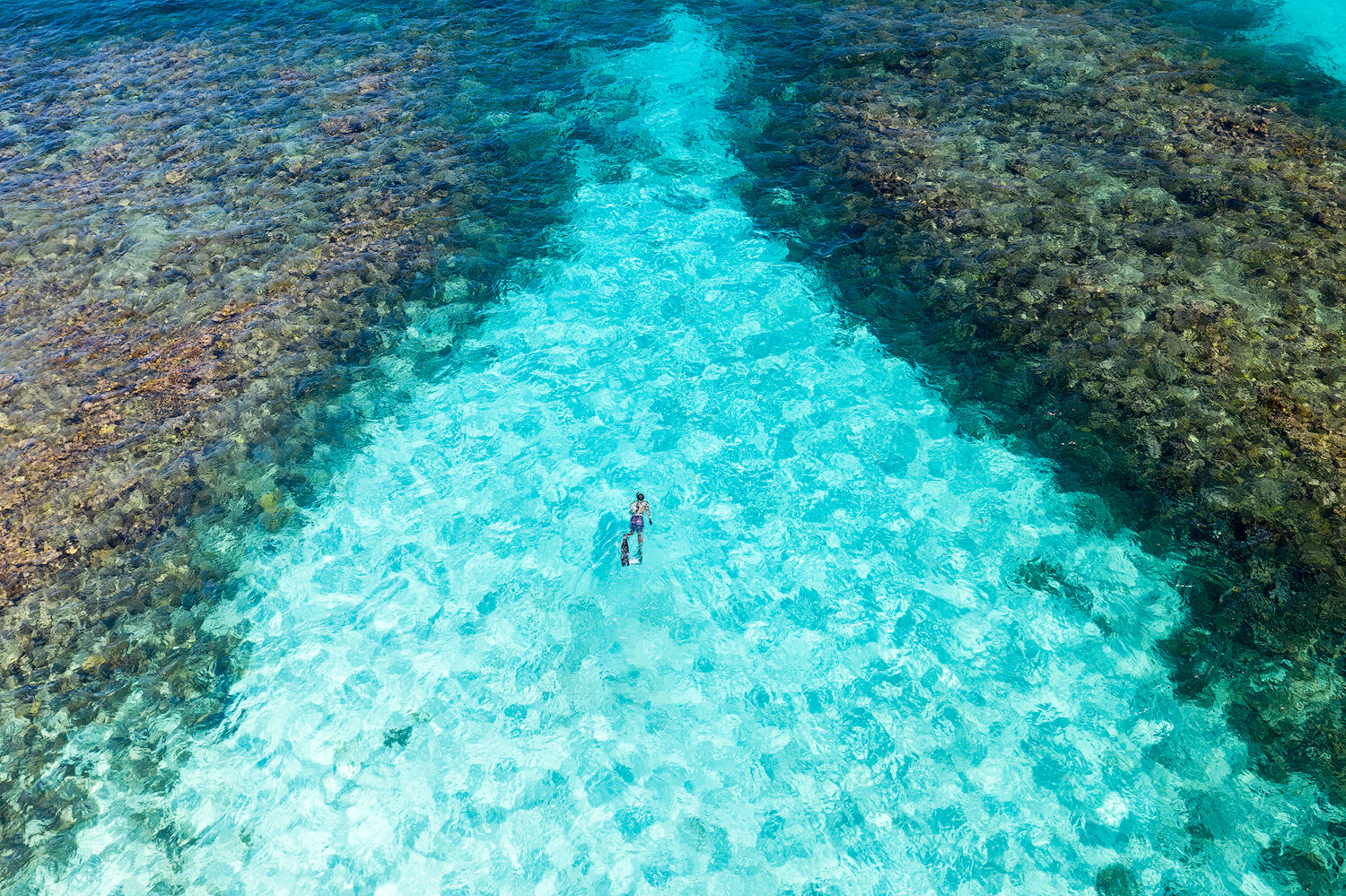 Freediver from above. Belize