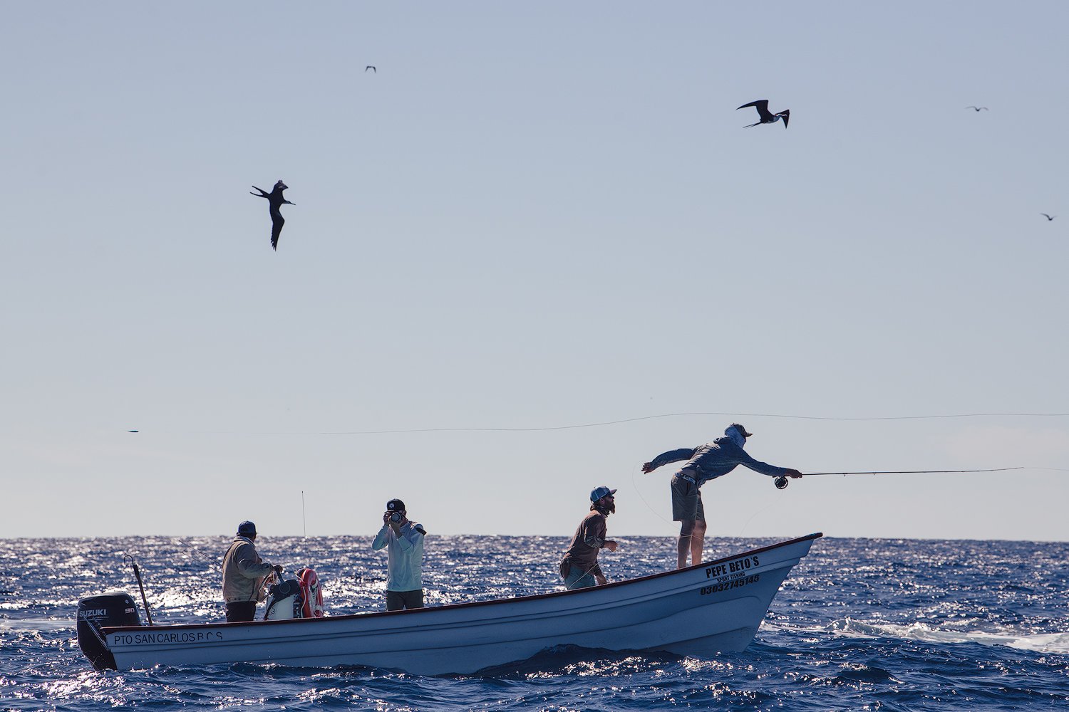 Fly fishing for marlin in Magdalena Bay, Mexico