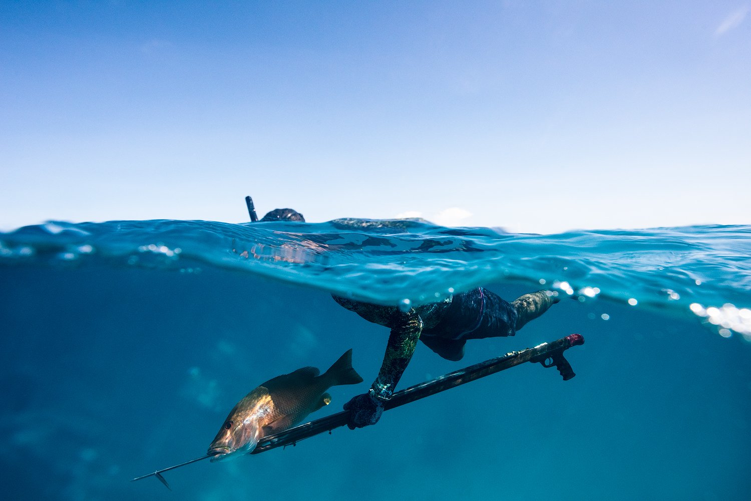 Belizean freediver with fish.