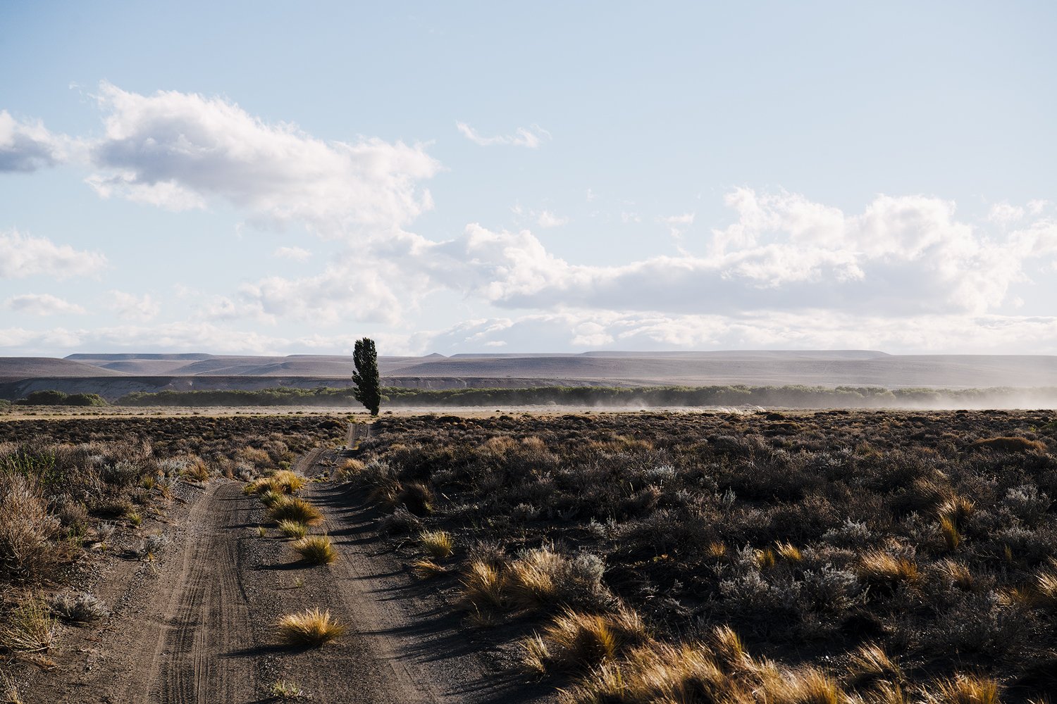 Lone Poplar, Dirt Road, and Dust.