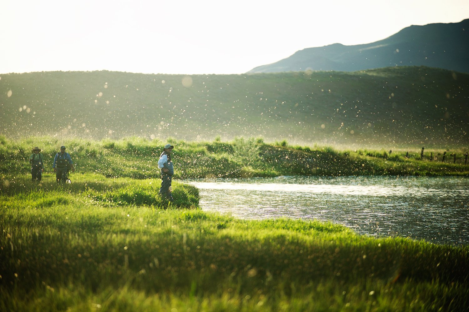 Brown Drakes and Silver Creek. Idaho