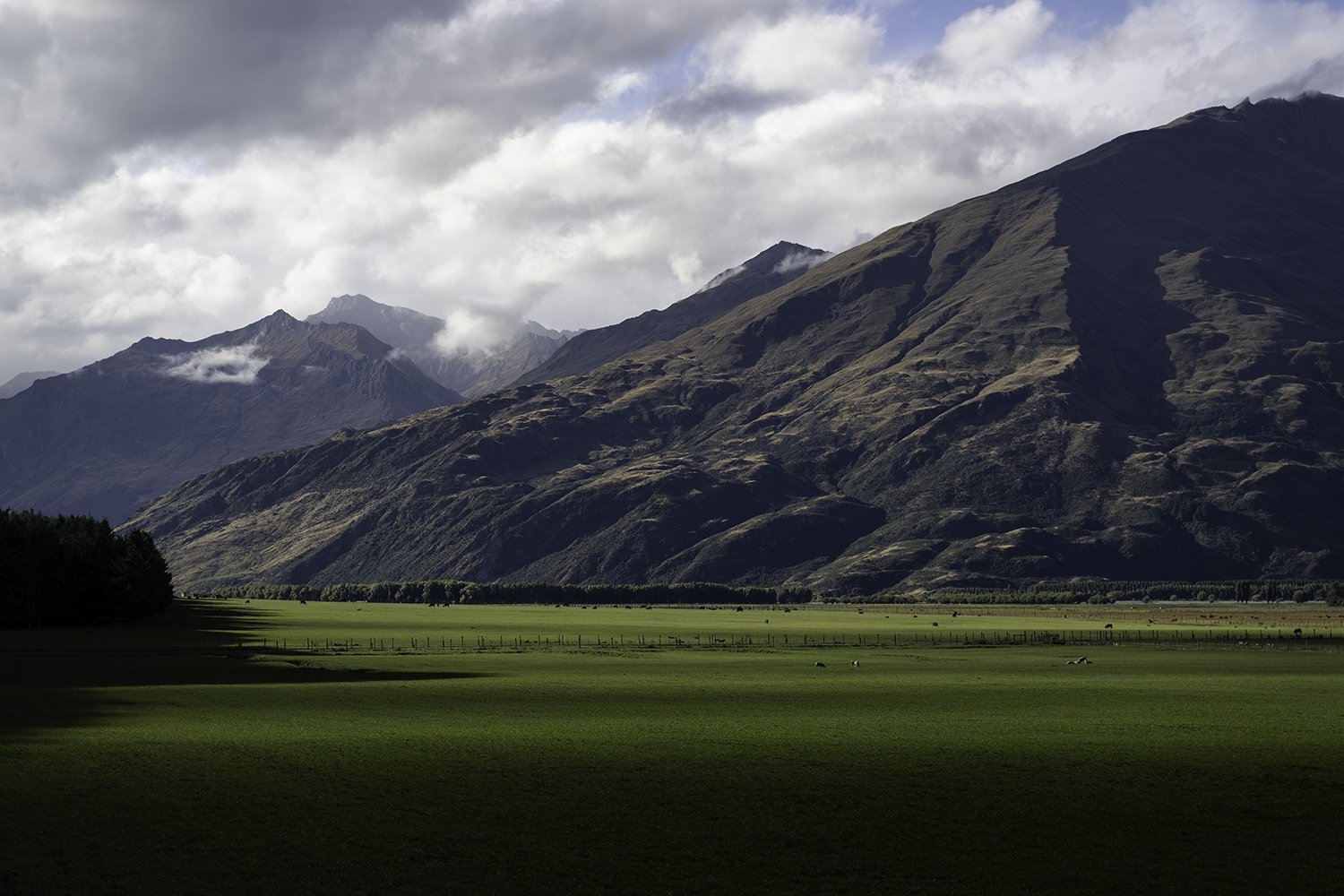 Matukituki Valley. New Zealand