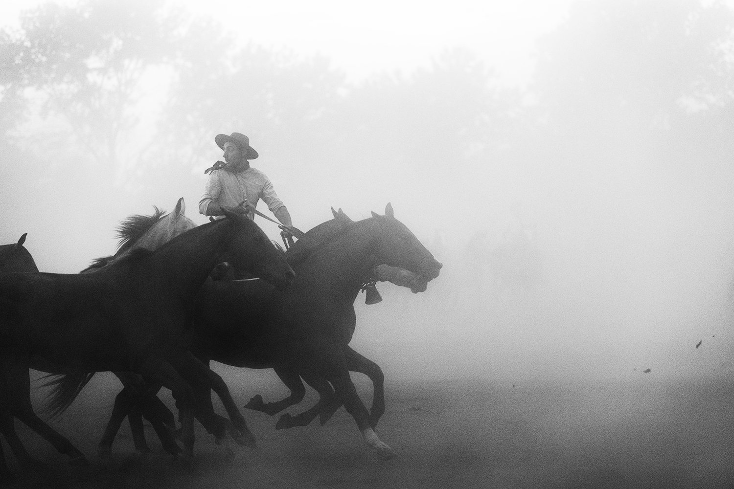 gaucho-running-dust-areco.jpg