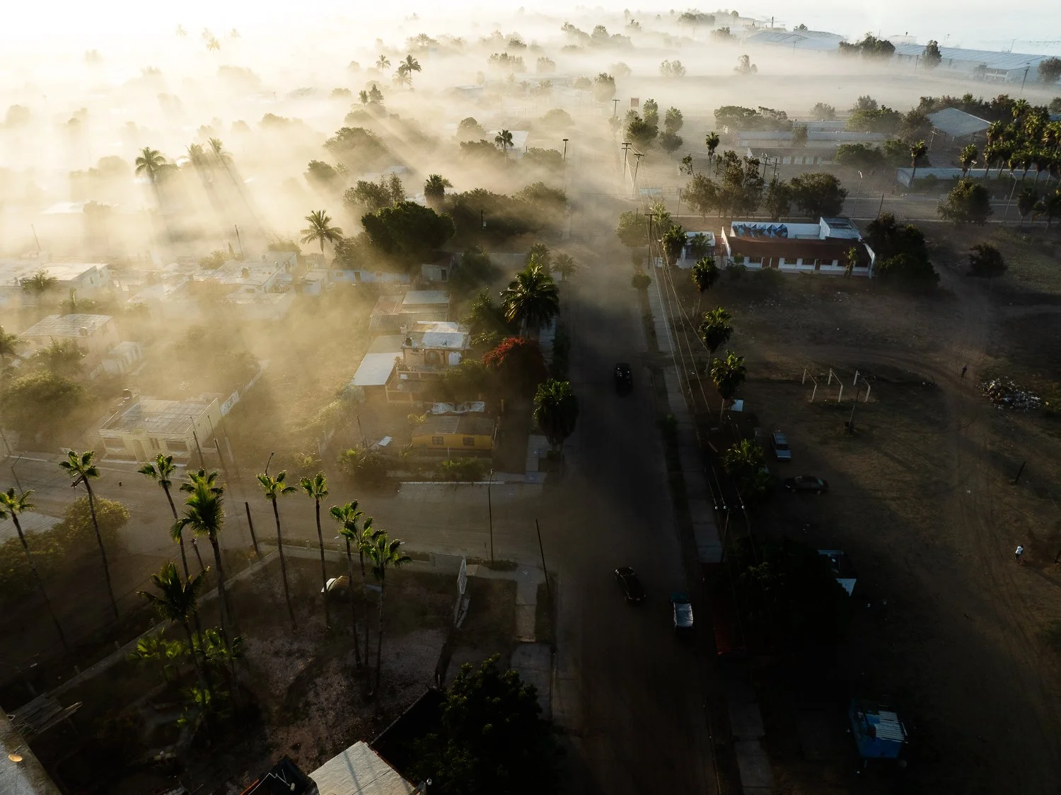 san carlos morning. baja, mexico