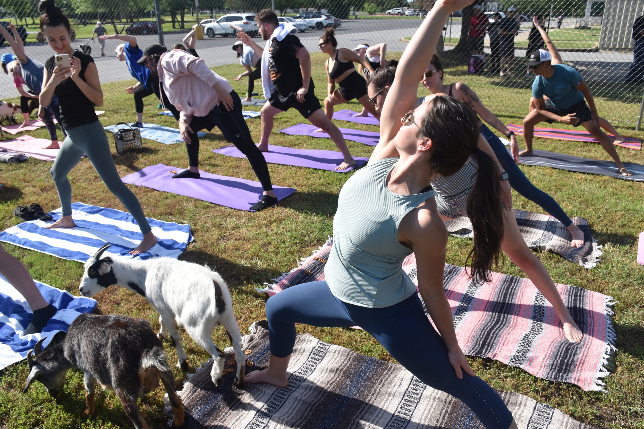 Goat Yoga DSC_1533.JPG