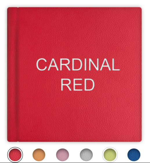 Leatherette Bright Color Cover Options