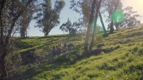 Levis I Shape My World - Girl Swirl