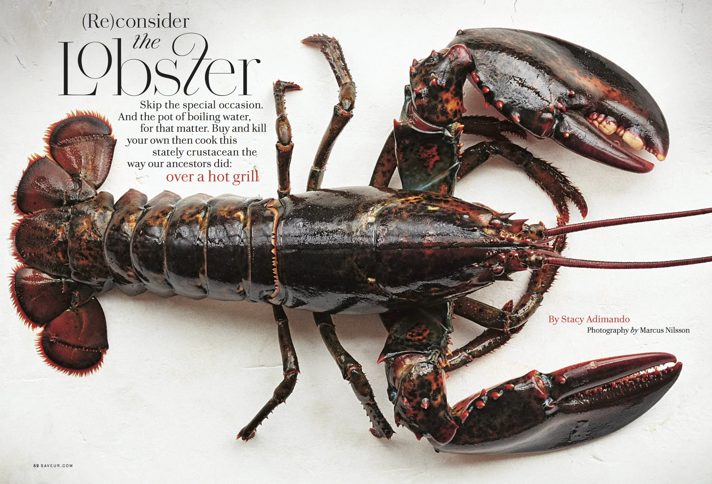 Saveur clip_Lobster PDF.jpg