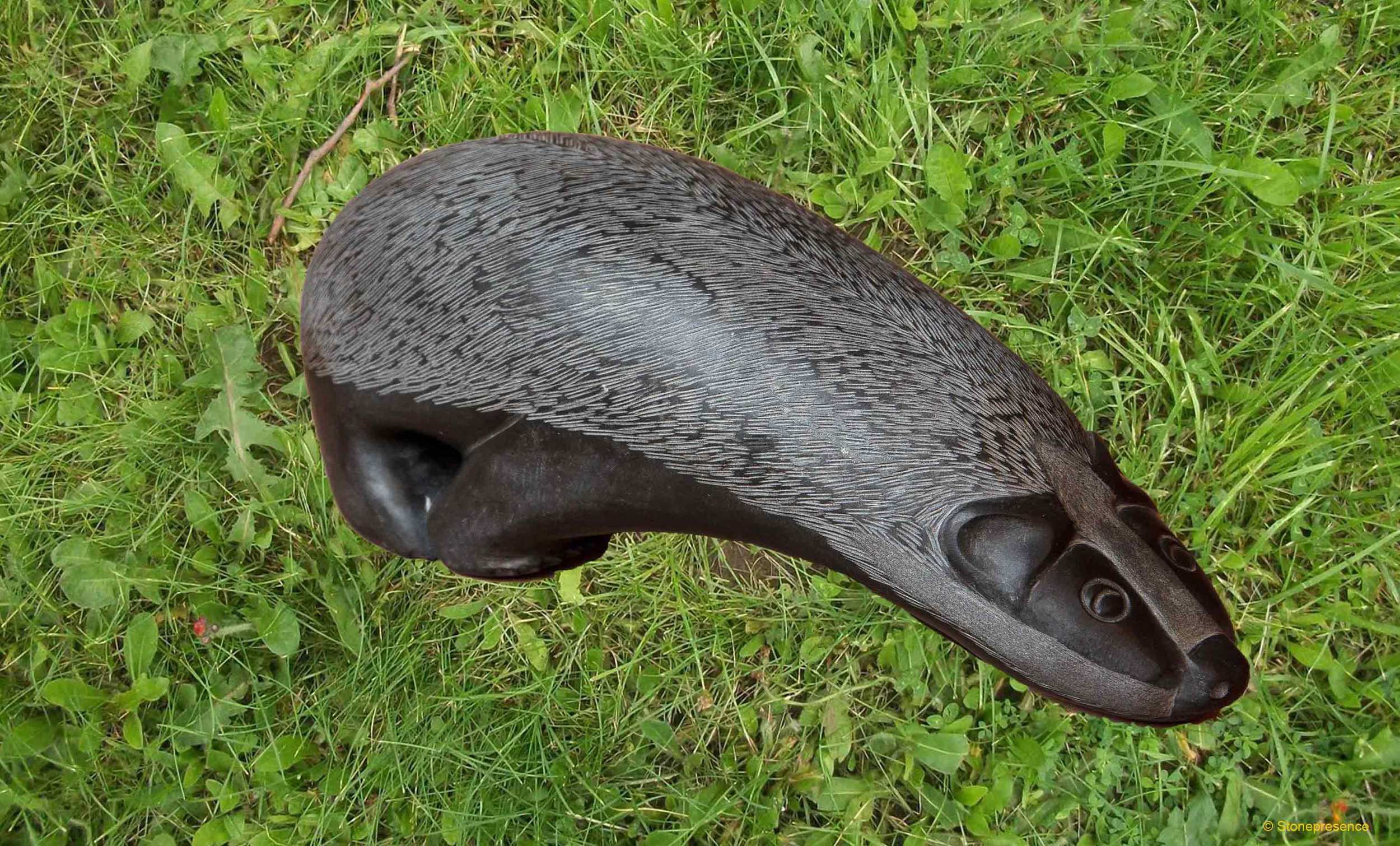 Badger