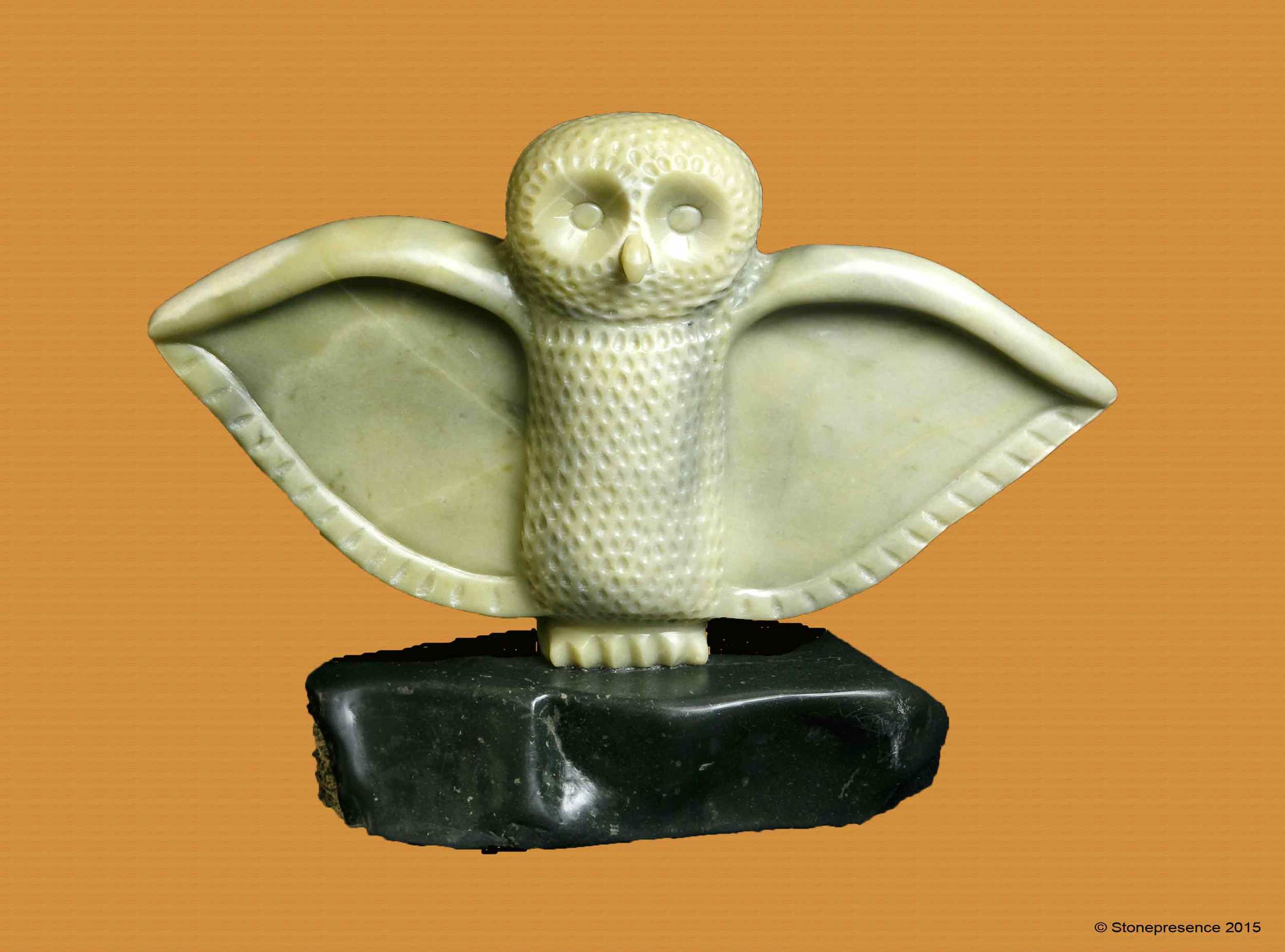 Green Owl