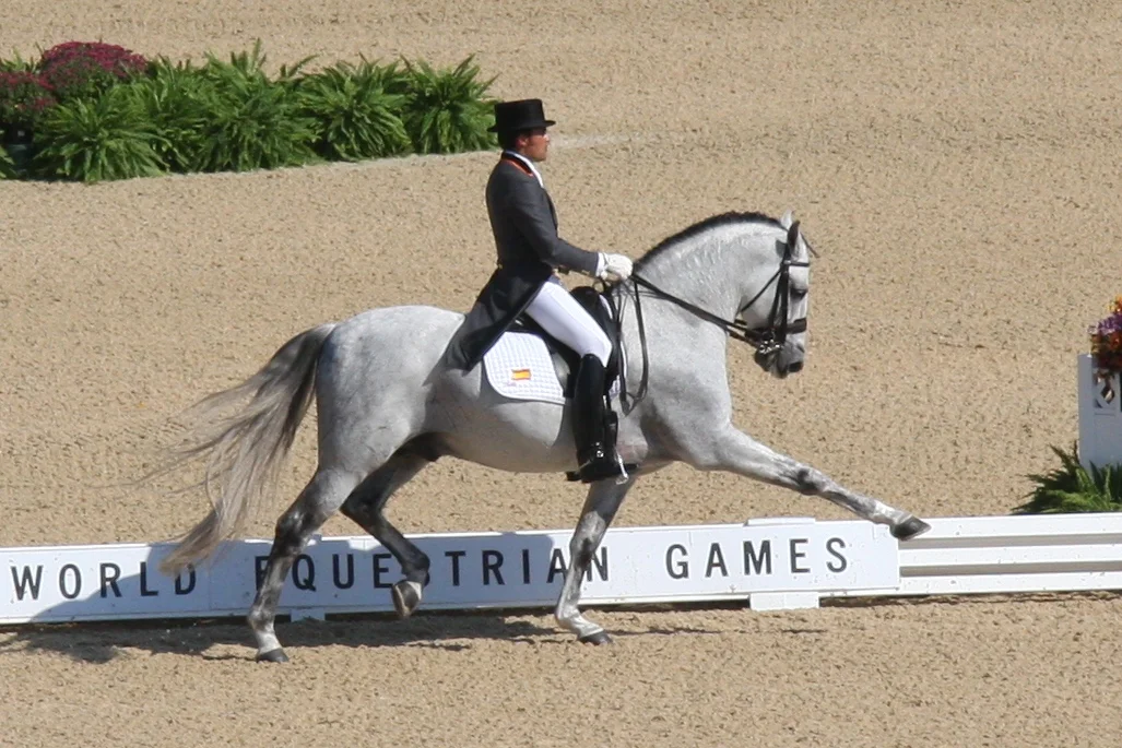 Norte and rider José Antonio Garcia Mena at the 2010 WEG. Photo: Sarah C. Shechner