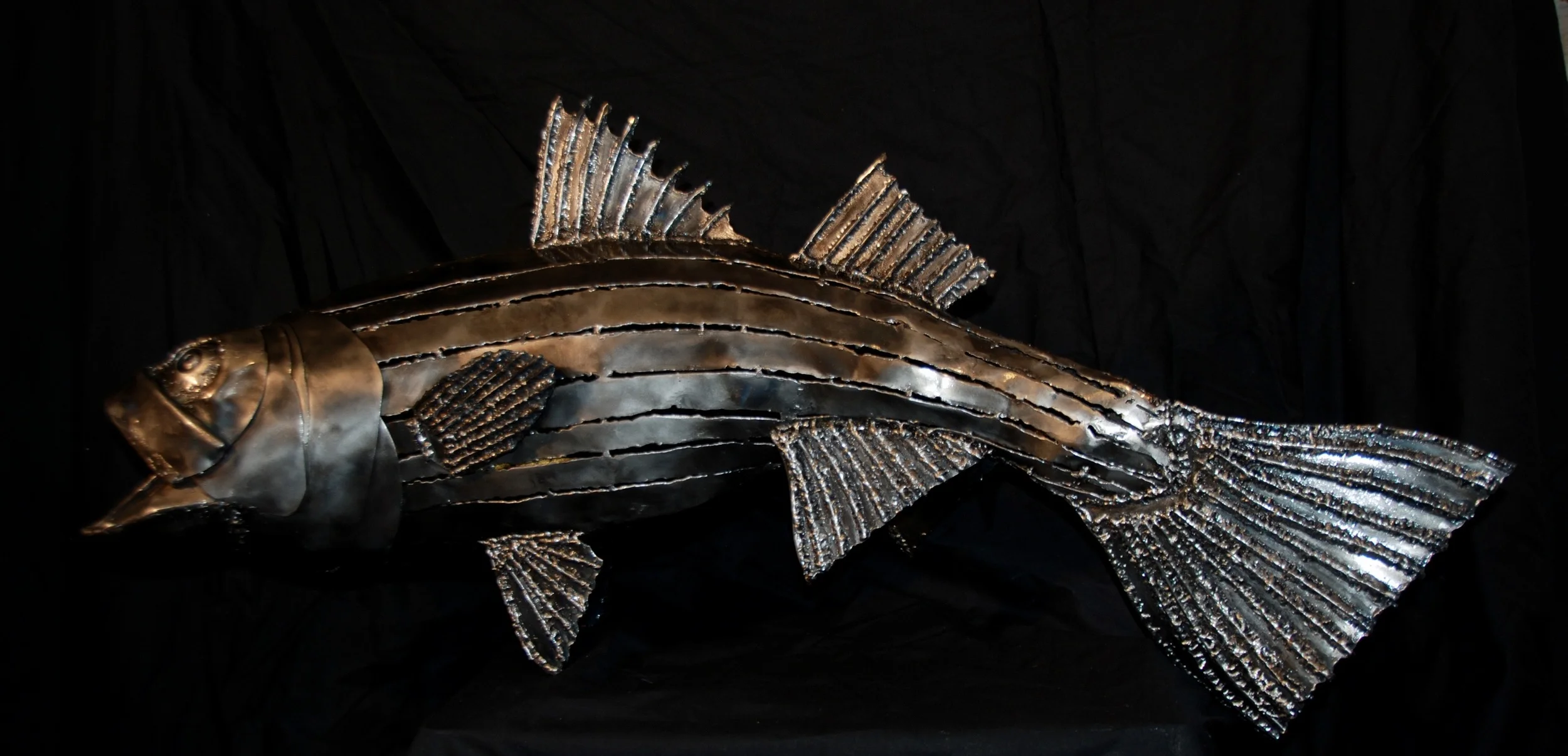 Striper