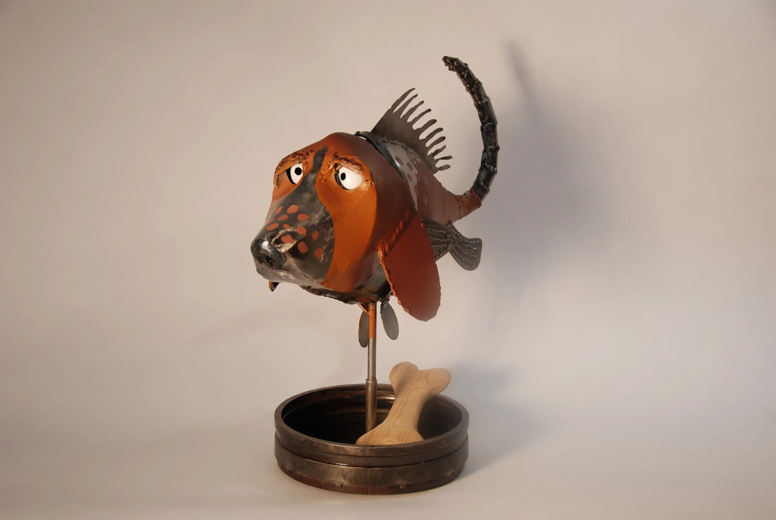 Dog Fish