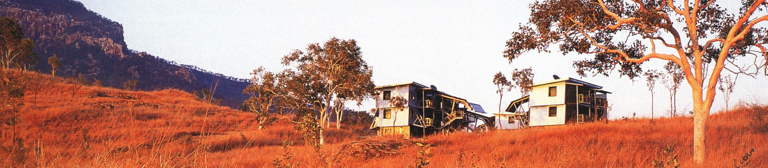 IMG 09.jpg