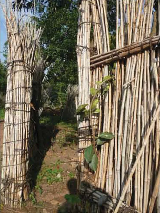 acholi hut 6.jpg