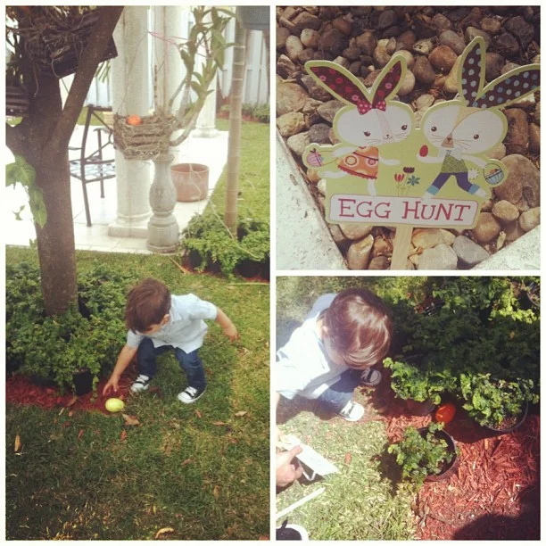 Egg hunt at home.