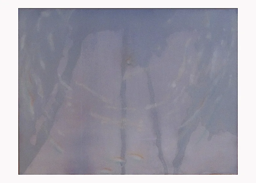 Pool 9" x 12", 2011 Water soluble oil paint on polyester mesh covered panel
