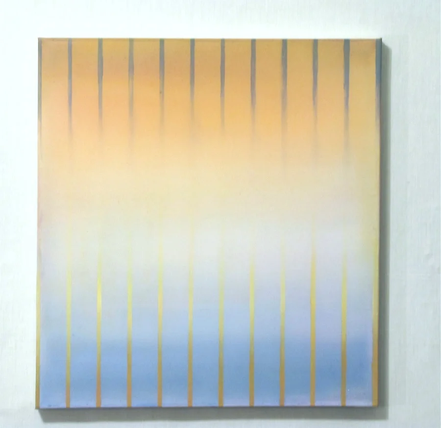 Shroud 14" x 13", 2012 Oil, acrylic, and gouache on paper and polyester mesh