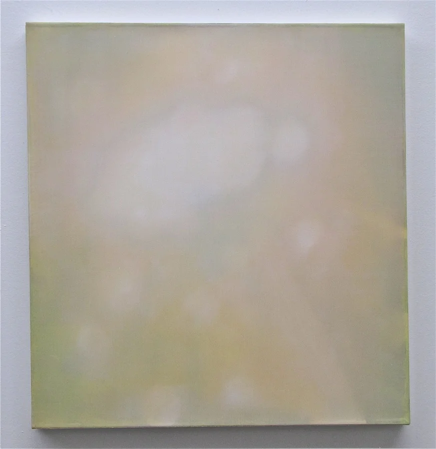 Blown II 16" x 15", 2012 Oil, acrylic, and gouache on paper and polyester mesh