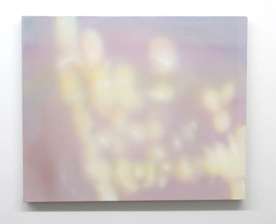 Viel 19" x 23", 2014 Oil, acrylic, and gouache on paper and polyester mesh