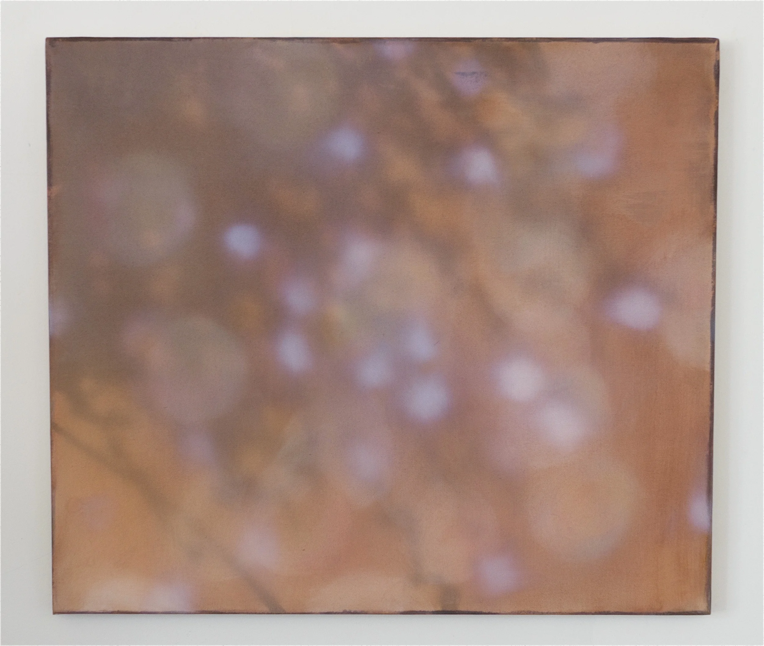Umber 19" x 22", 2014 Oil, acrylic, and gouache on paper and polyester mesh