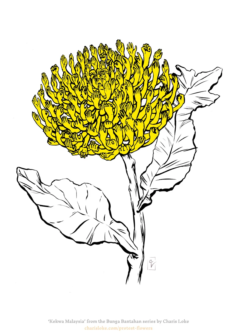 CharisLoke_MalaysianChrysanthemum_Web.jpg