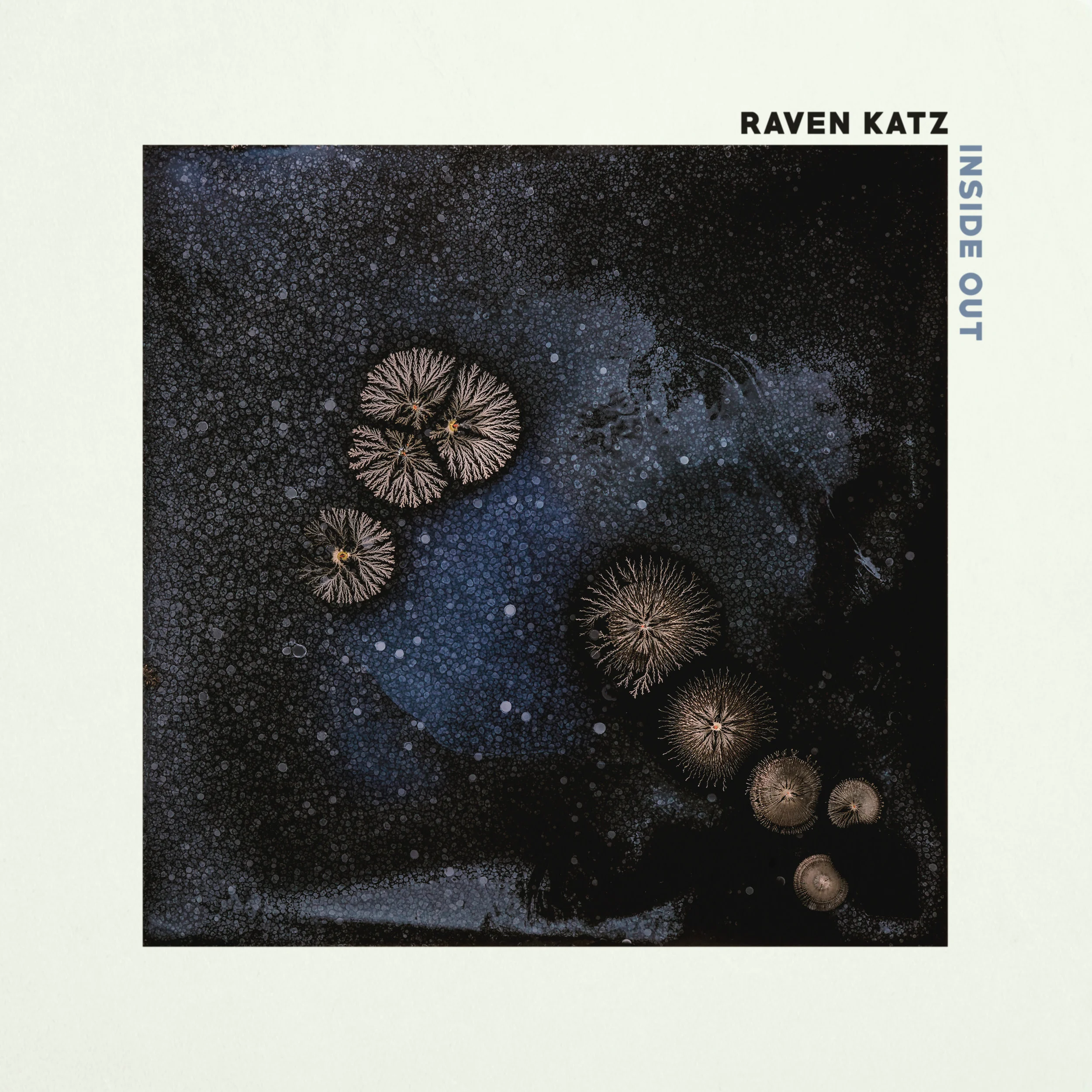 Raven Katz - Inside Out Cover 2.jpg