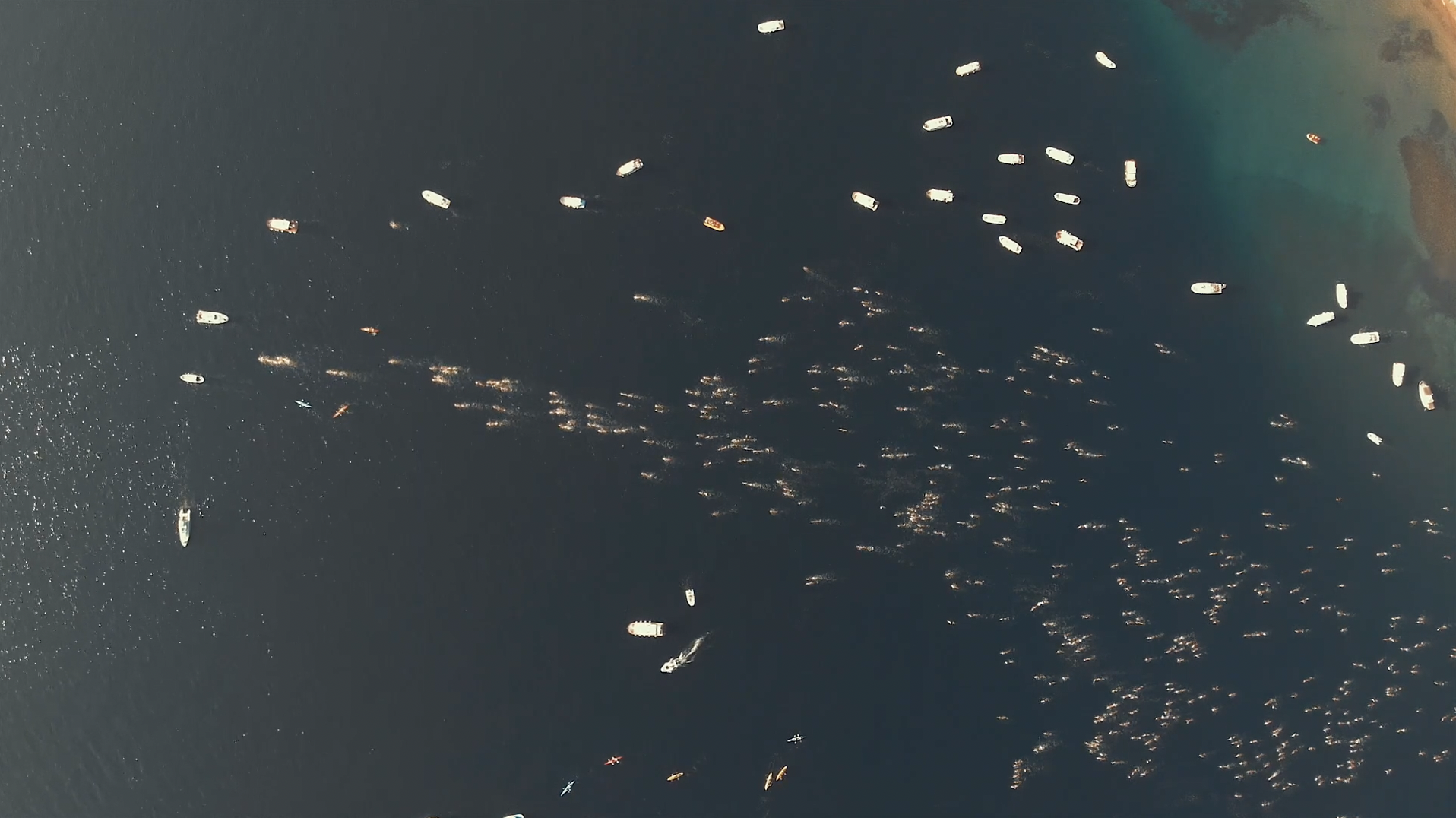 A-drone-shot-of-swimmers-racing-in-Turkey-in-a-documentary-for-Swimtrek-by-writer-director-Jess-Dowse.png