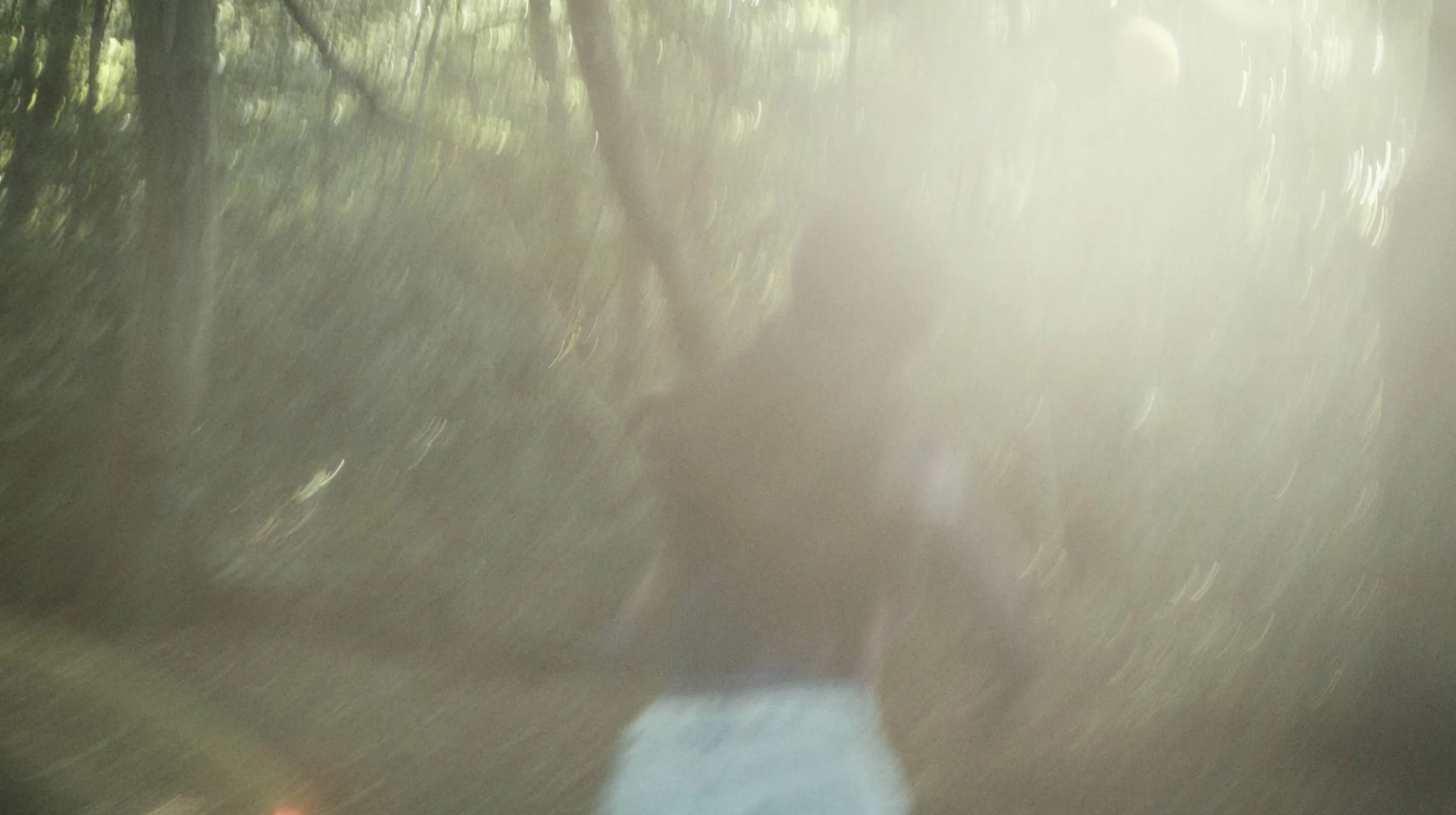 A girl runs in a forest