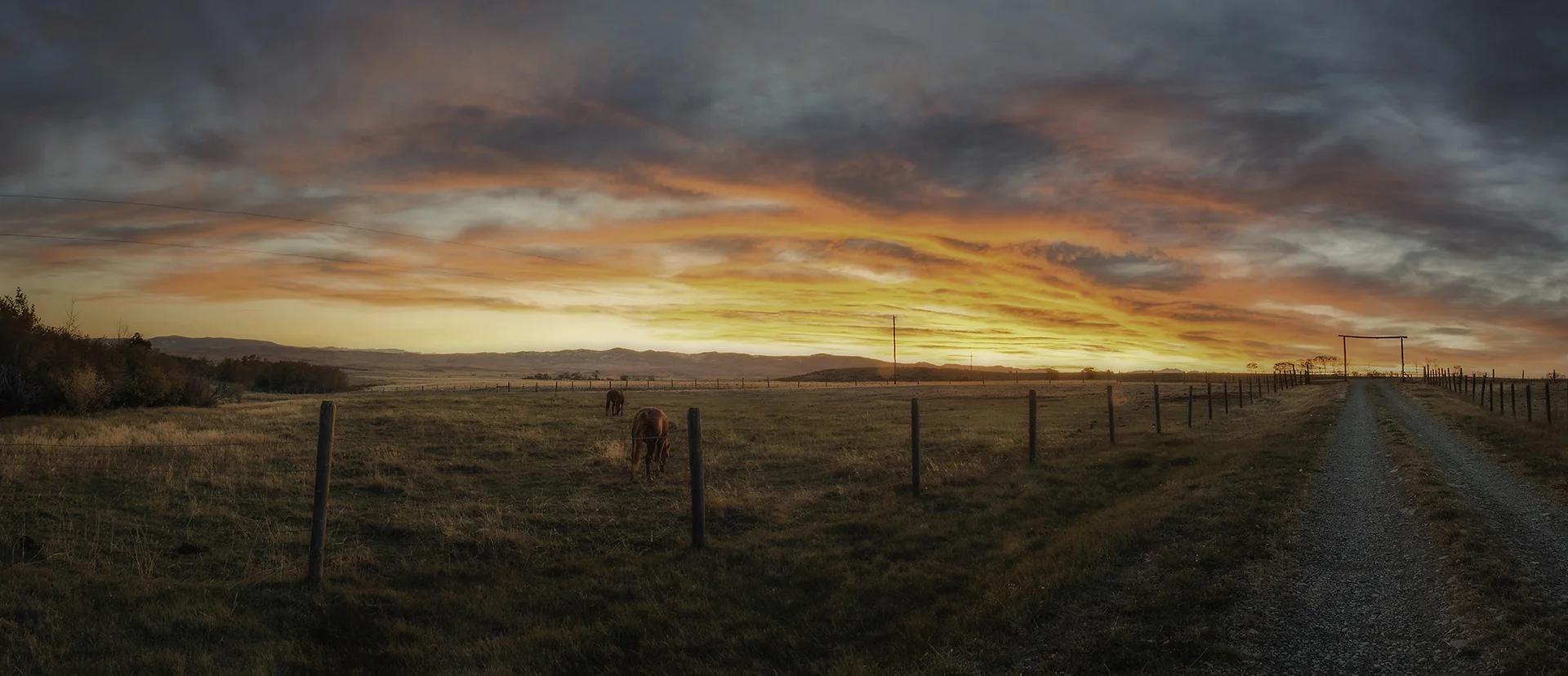 pano_edit_lighter_ground_cefxp_duplex.jpg