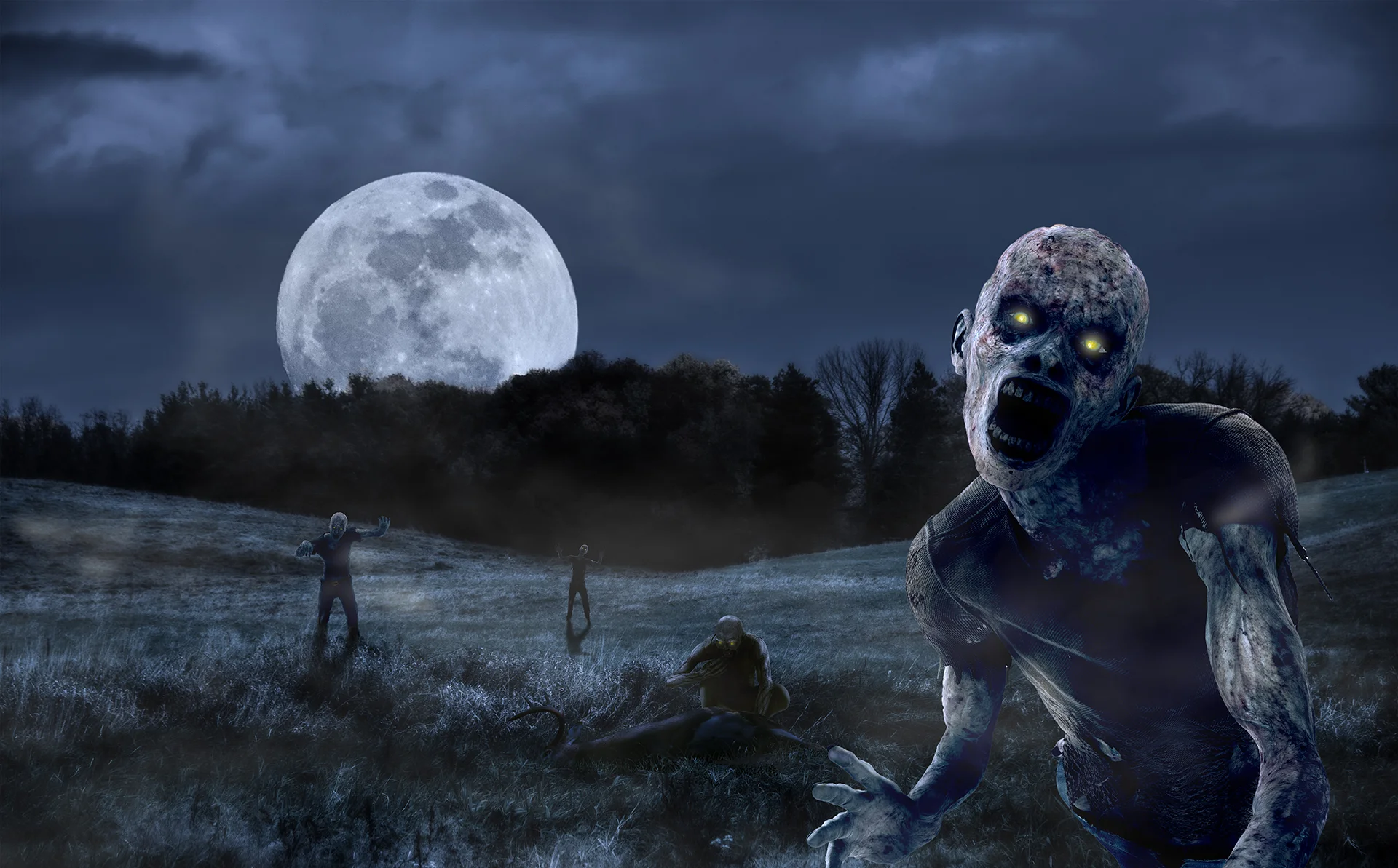 Zombies_2014_LOW.jpg