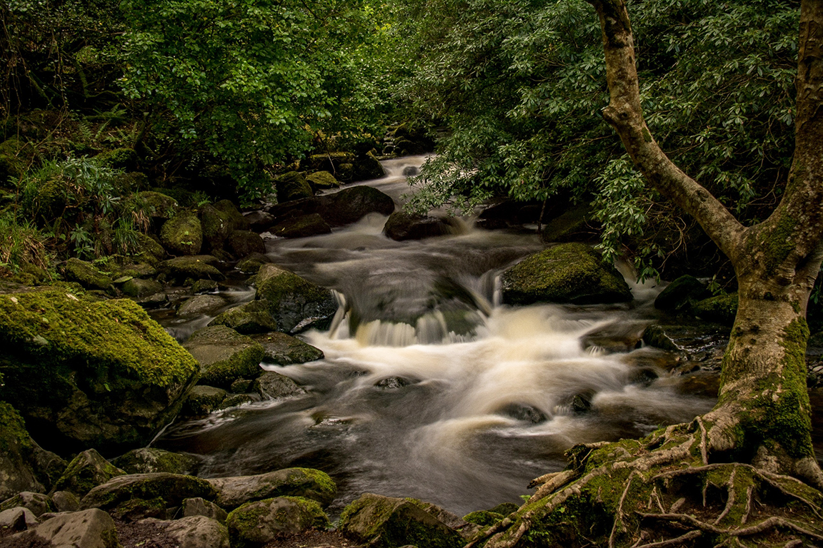 Near Lady's View, Ireland