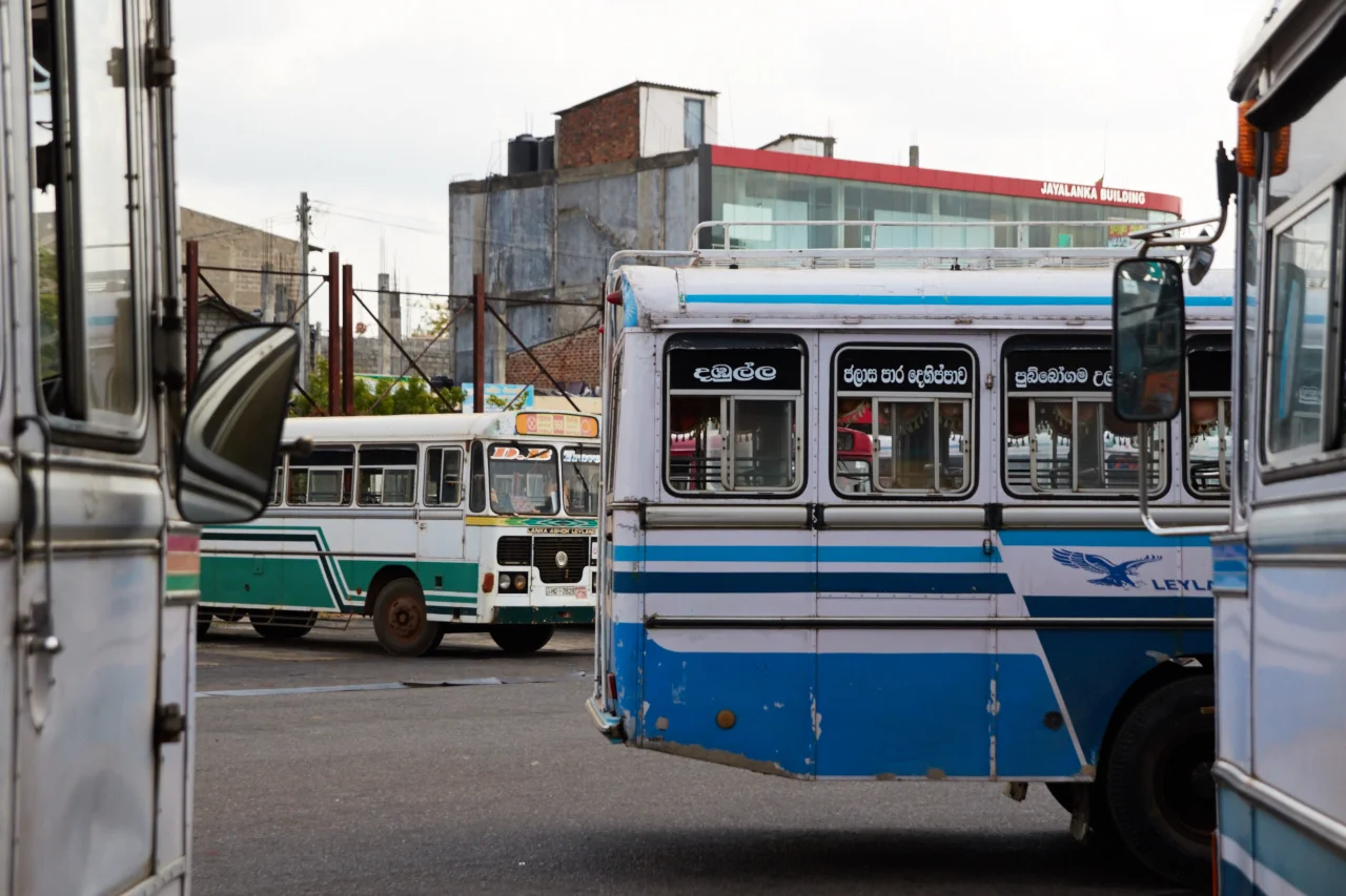 _P1A6223.jpg
