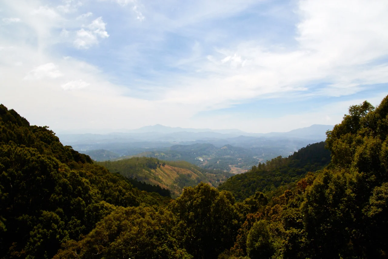 _P1A6530.jpg