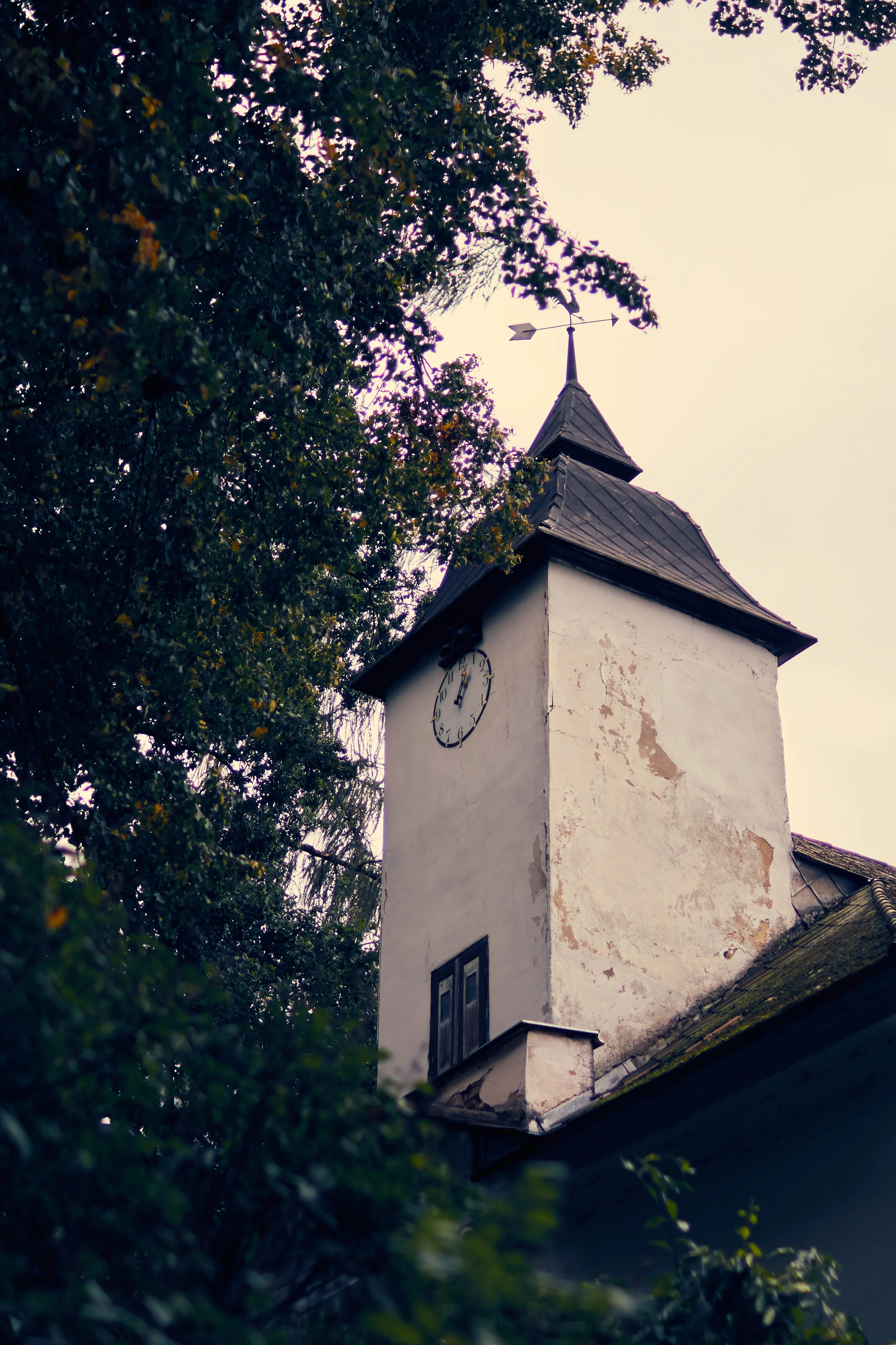_P1A8854.jpg