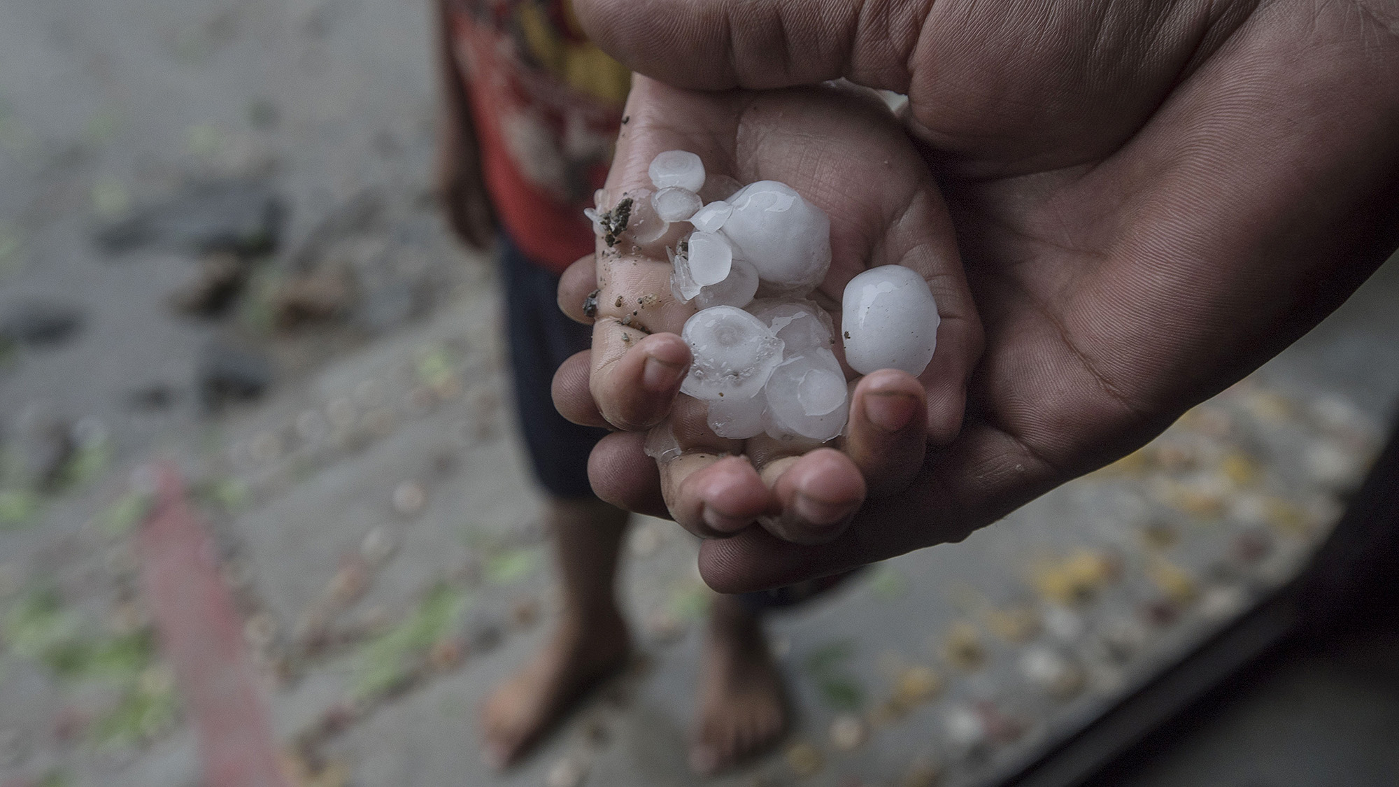 A handful of ice pellets after a 20 minute hail storm. 