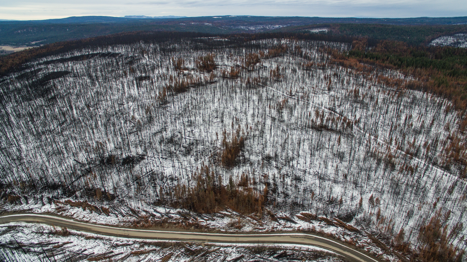 2017.11.18.DJI.WilliamsLake.Stills_0015.jpg