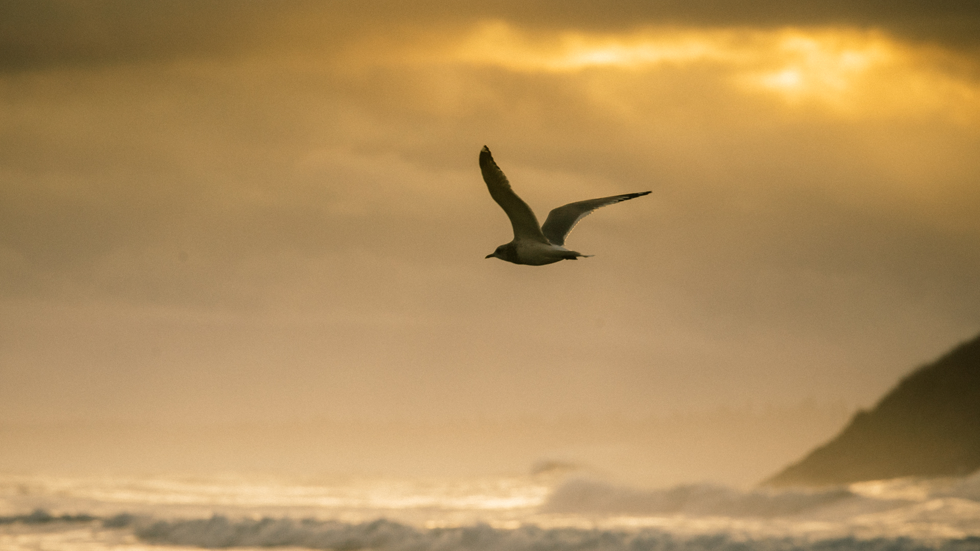 2017.12.02.A7S.Tofino.Stills_0015.jpg