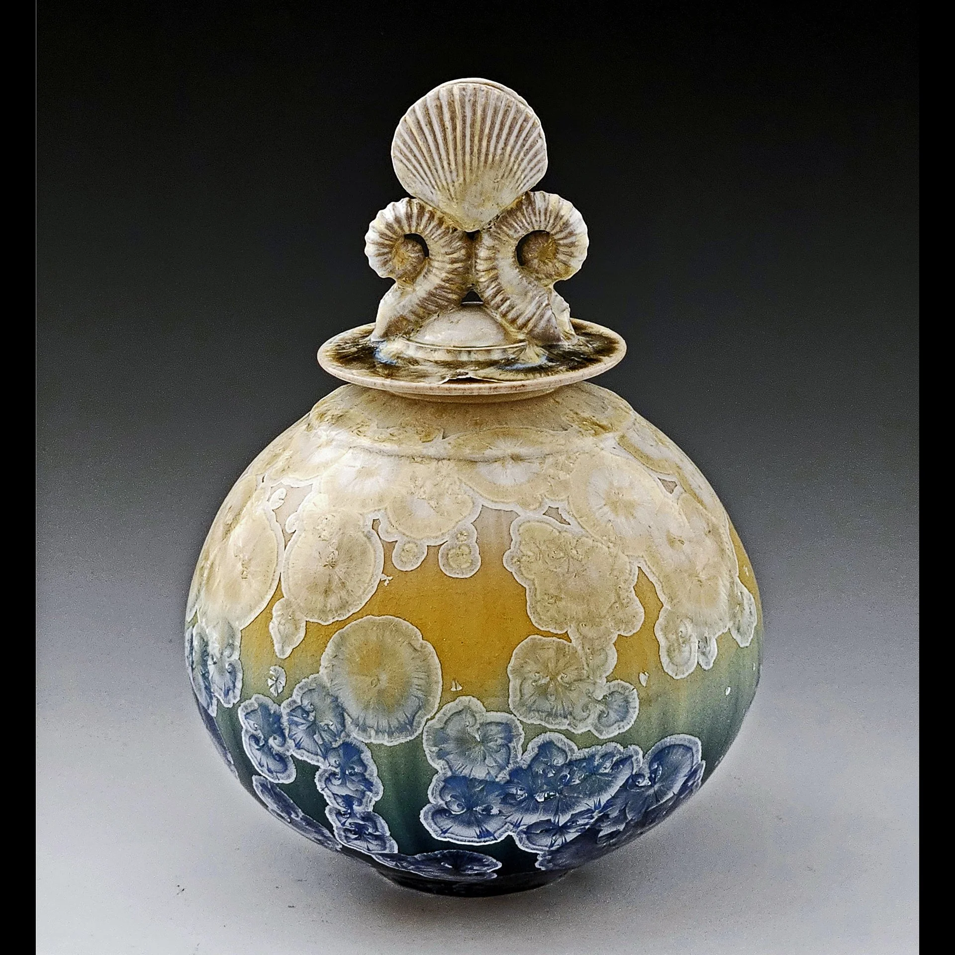 lidded jar shells 2026.jpg