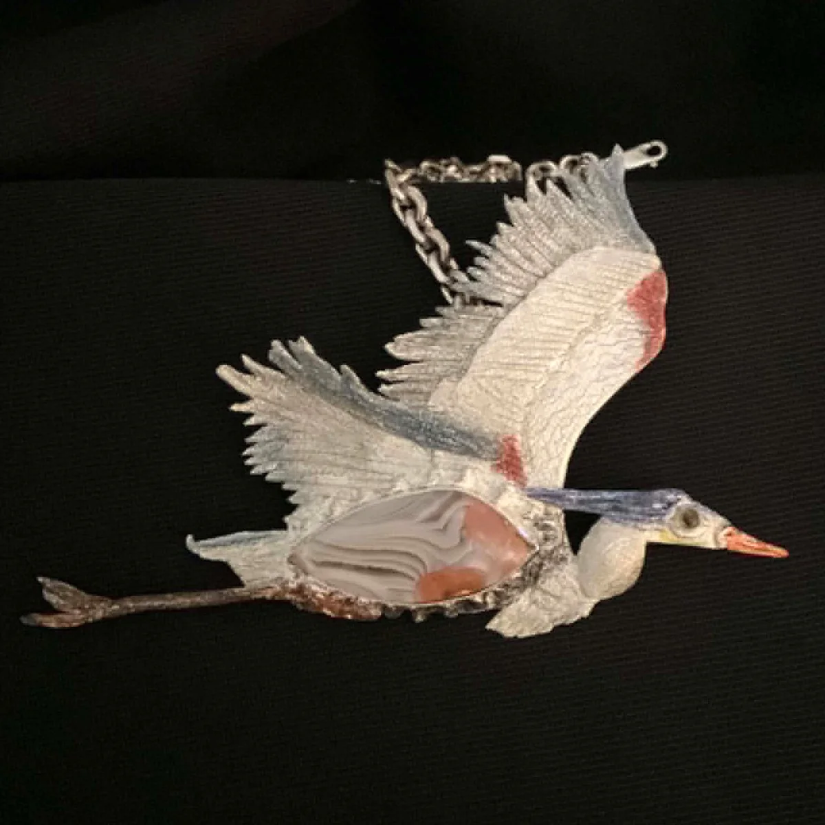 Ellens bird in flight 2026.jpeg